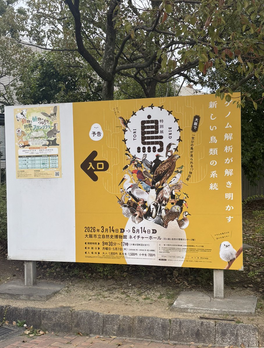 大阪ミュージアムズ tweet media