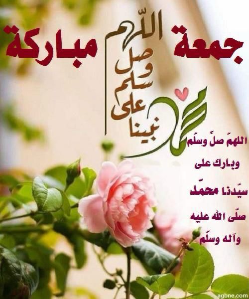 أحمد نوار tweet media