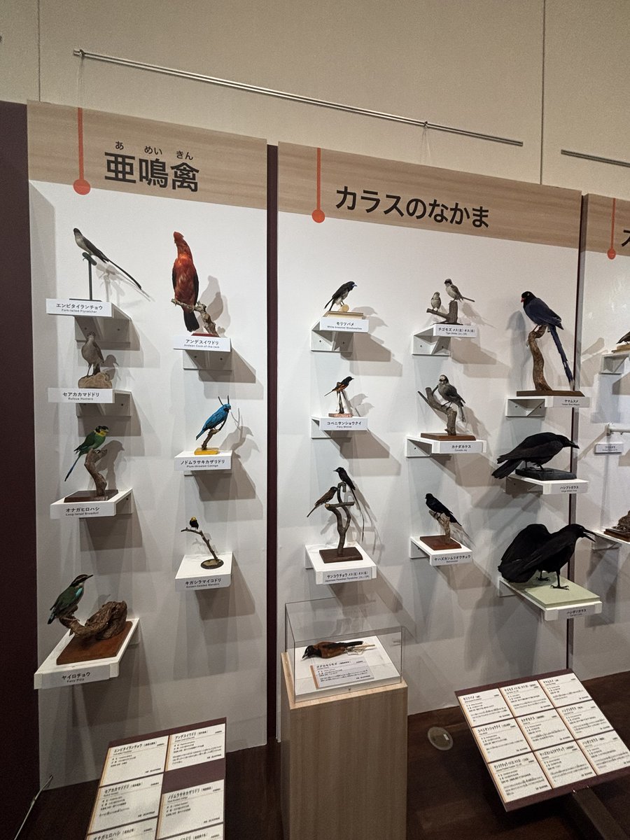 大阪ミュージアムズ tweet media