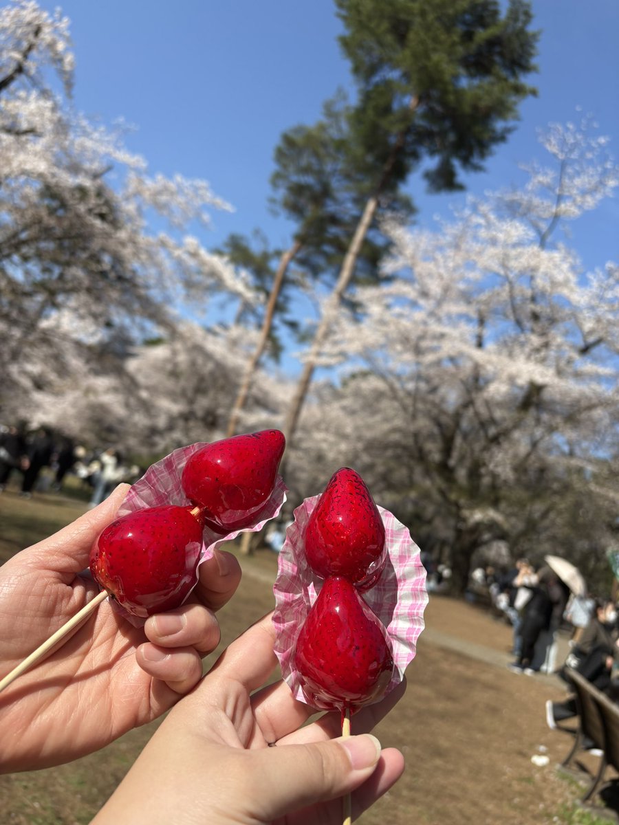 きゃわ@🥦 tweet media