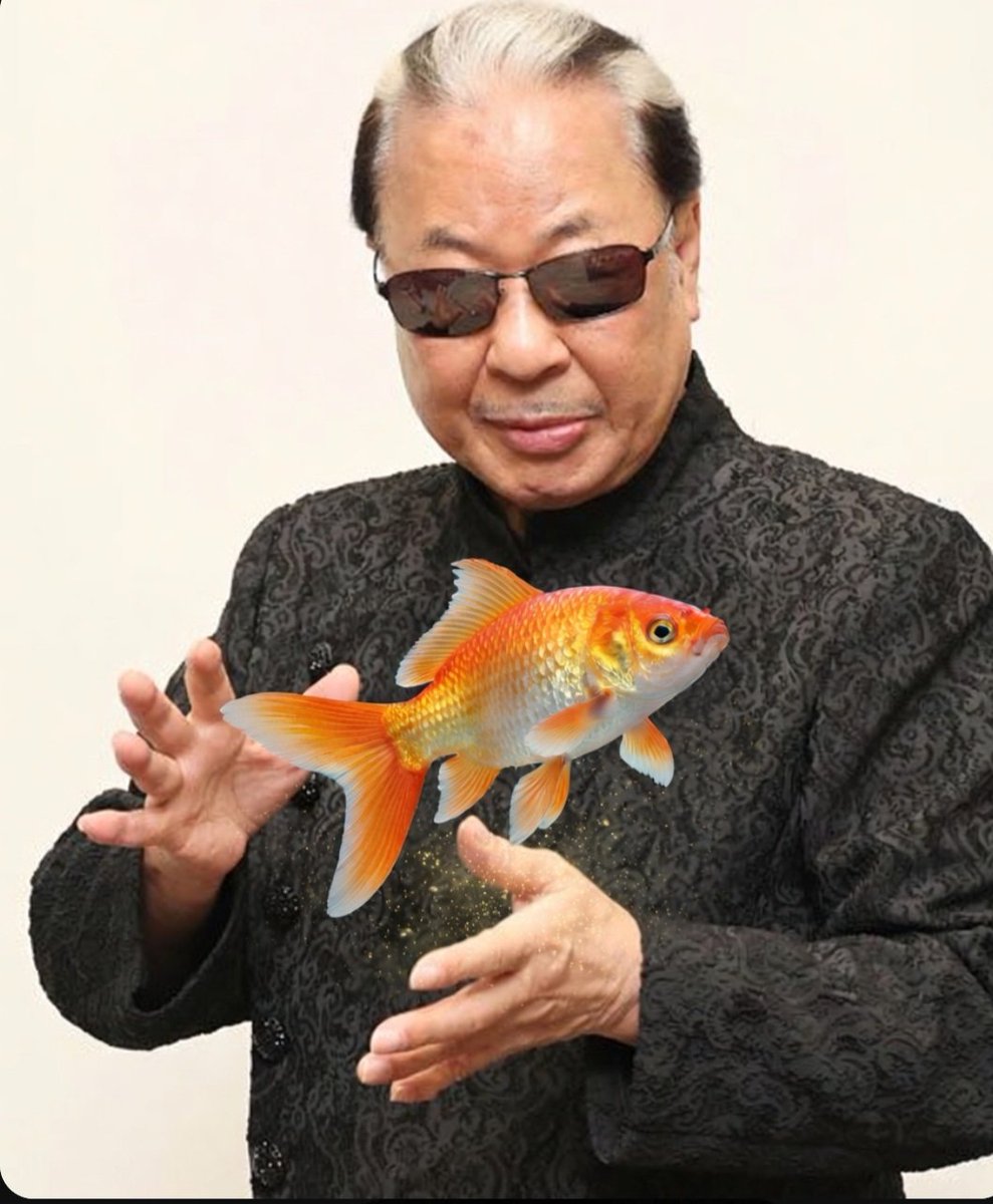 LIMITED_BETA tweet media