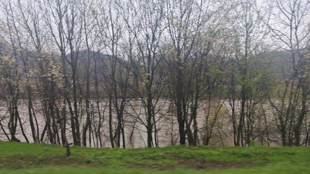 DraganMocevic tweet media