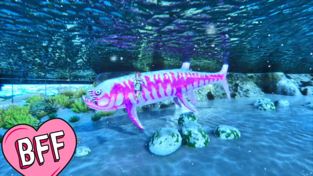 あや🧸 tweet media