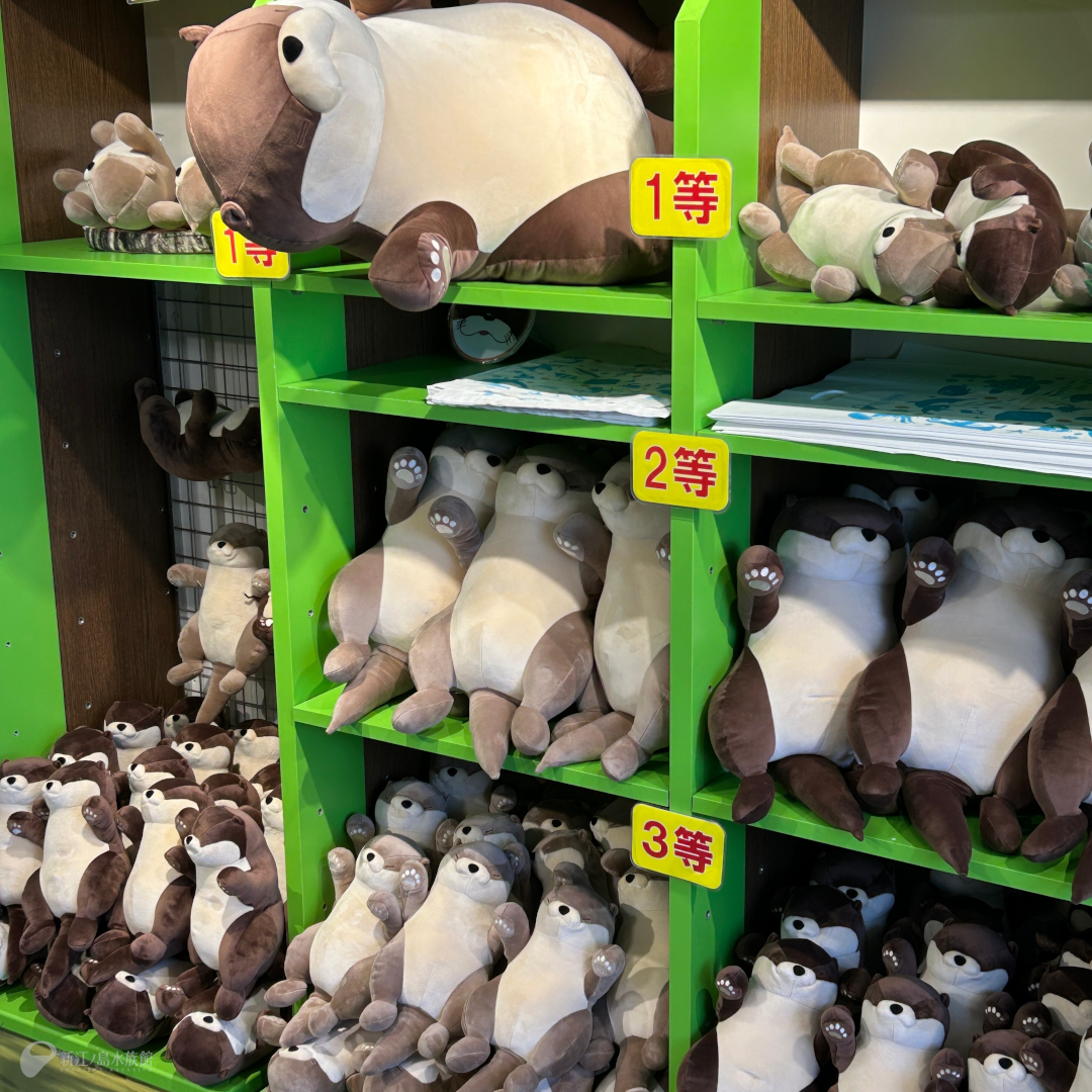 新江ノ島水族館 tweet media