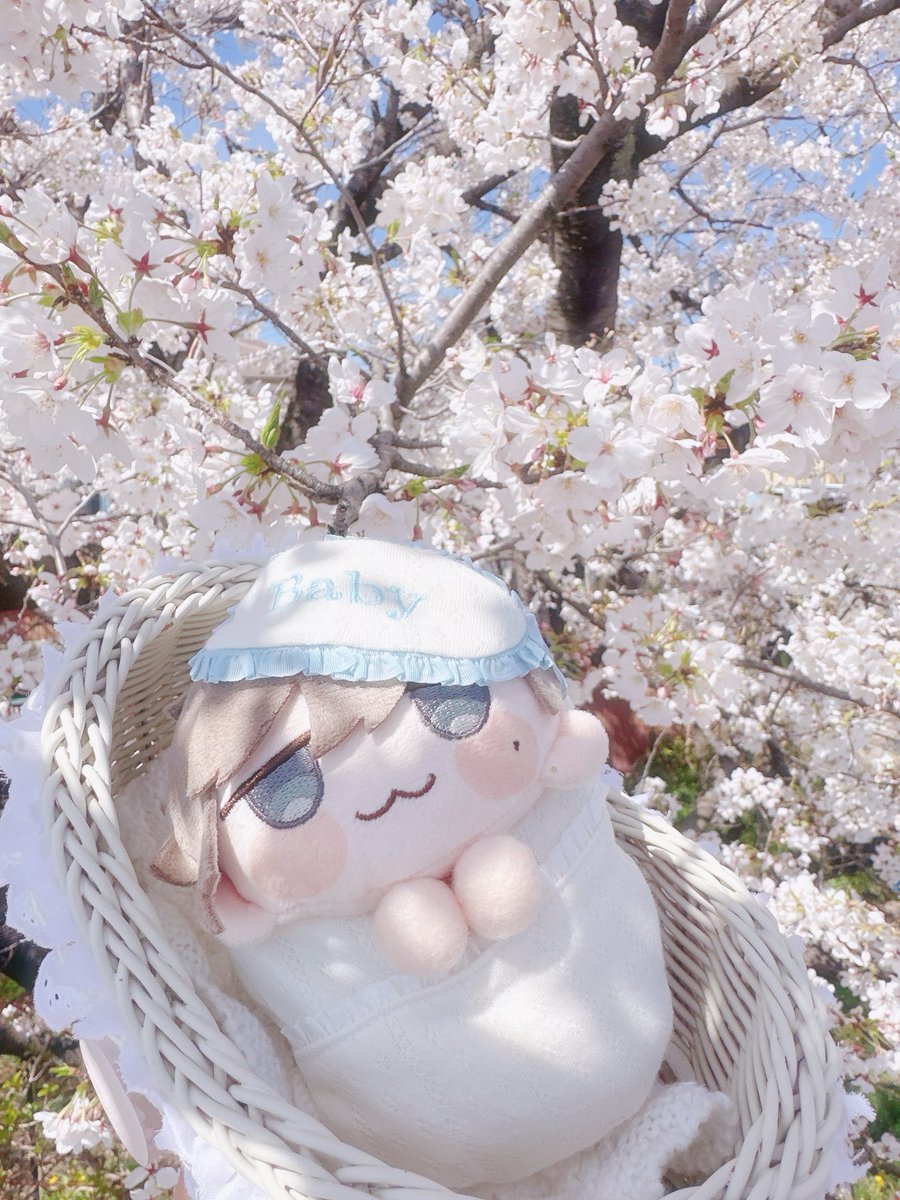 ごきげんあこちゃん🍒 tweet media