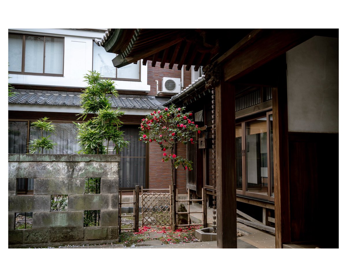 mash0270's tweet image. 日々を写す

#TAMRON 
#タムロンモニターキャンペーン 
#A078