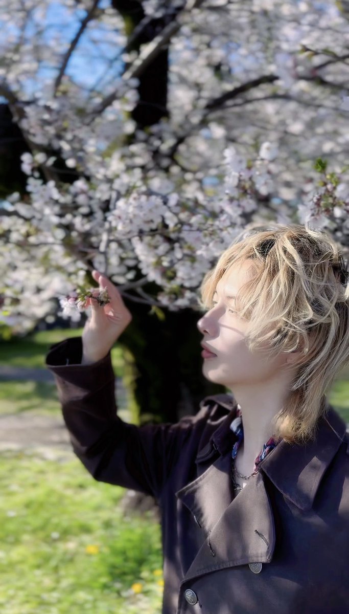 お花見日和だったけどもう桜散っちゃうね。