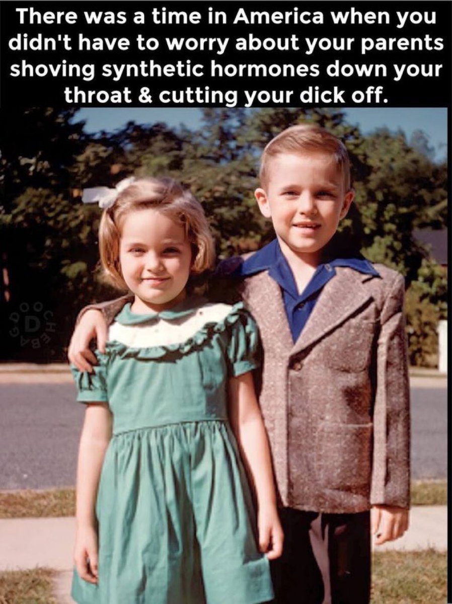 rabbitholebot tweet media