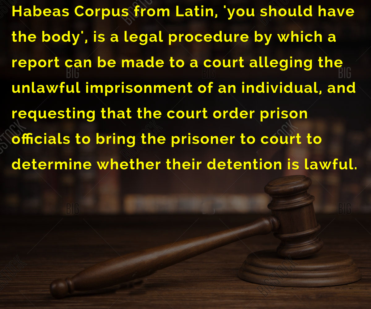 Dismayed Idaho Agoraphobe tweet media