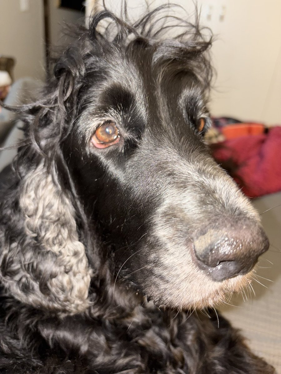 Kind of Ruth 🏳️🌈🇿🇦 tweet media