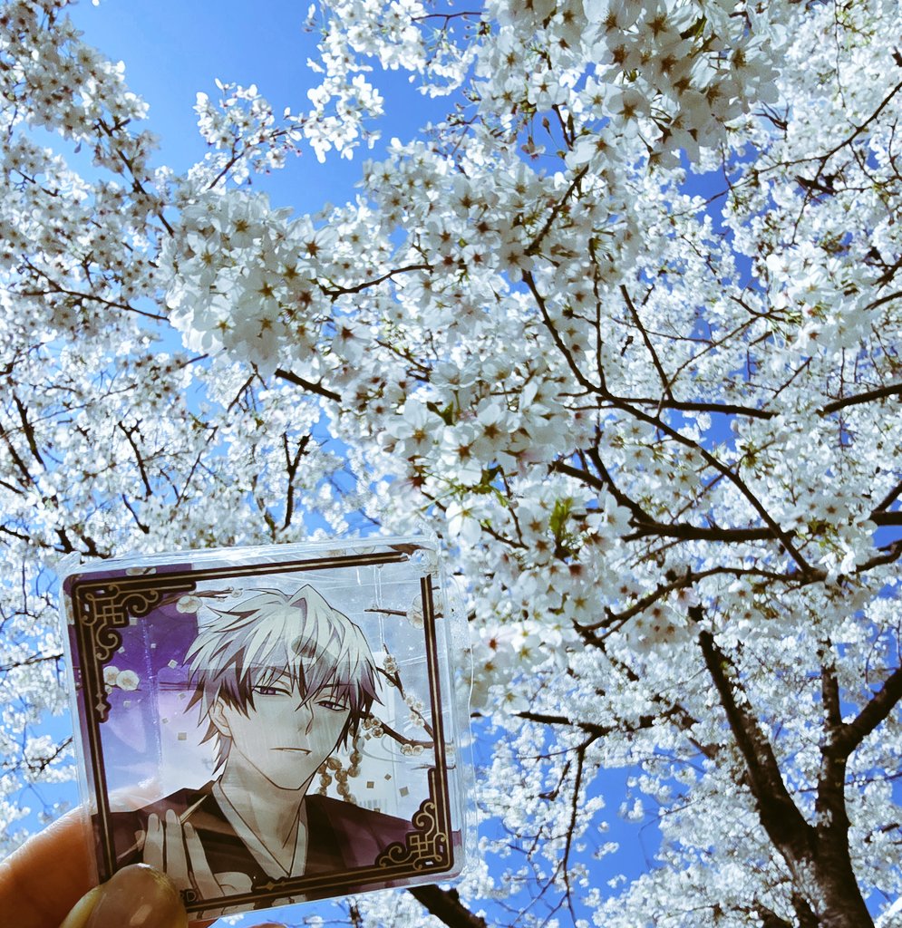 だちょう tweet media