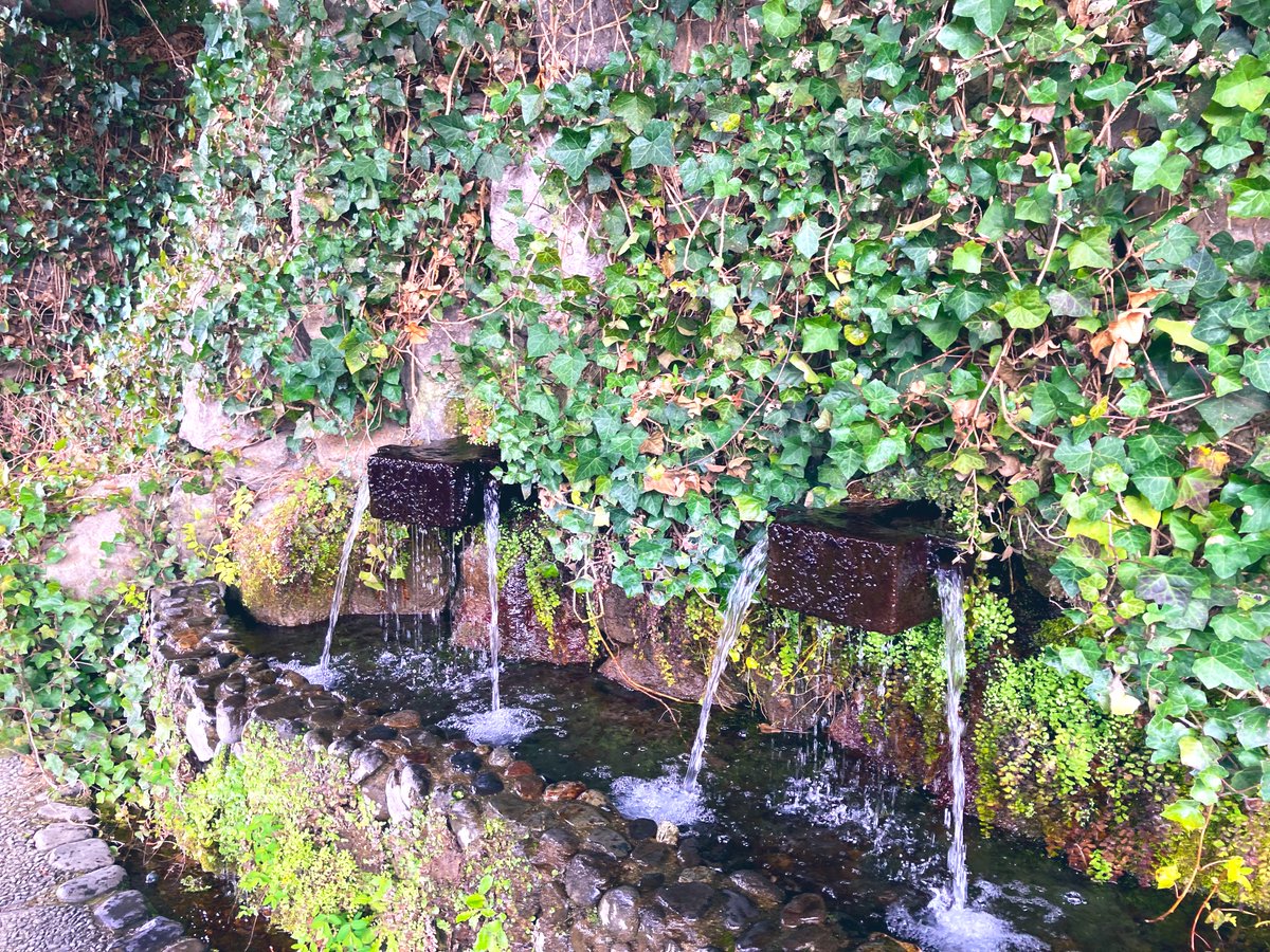 りゃま🦙blog🧵🎮 tweet media