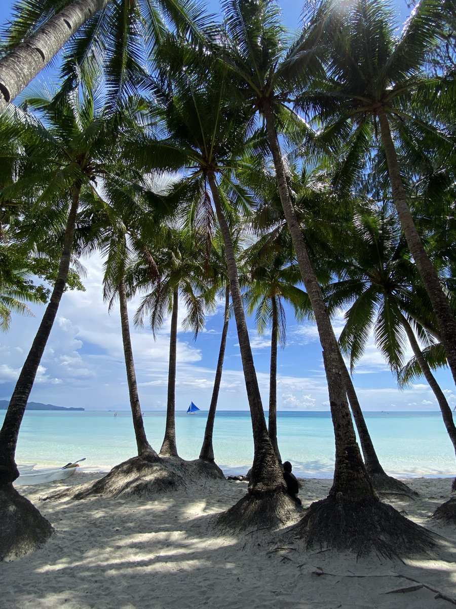 Aaron Young tweet media