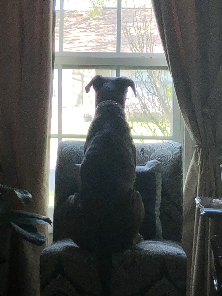 Nonessential Quarrel tweet media