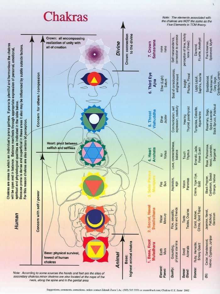 Sacred Bharat tweet media