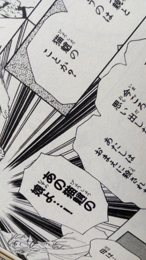 妖怪ブックガイド600でも紹介した『崑崙の珠』だと猫魈はちゃんと「びょうしょう」だよ 