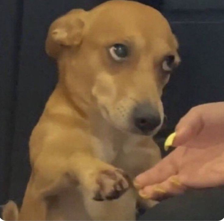 Yihyun, 조. tweet media