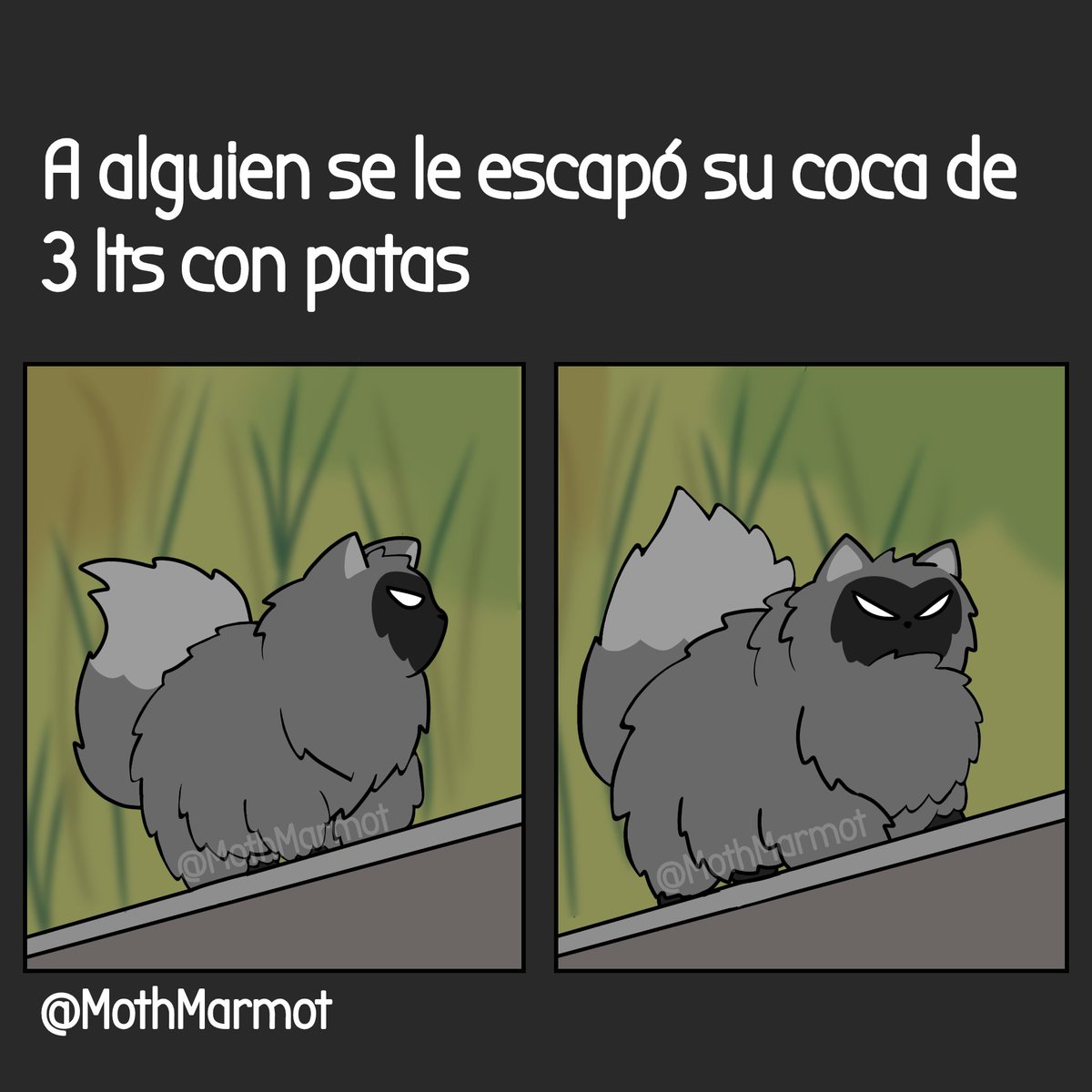 MothMarmot (Comms Open) tweet media