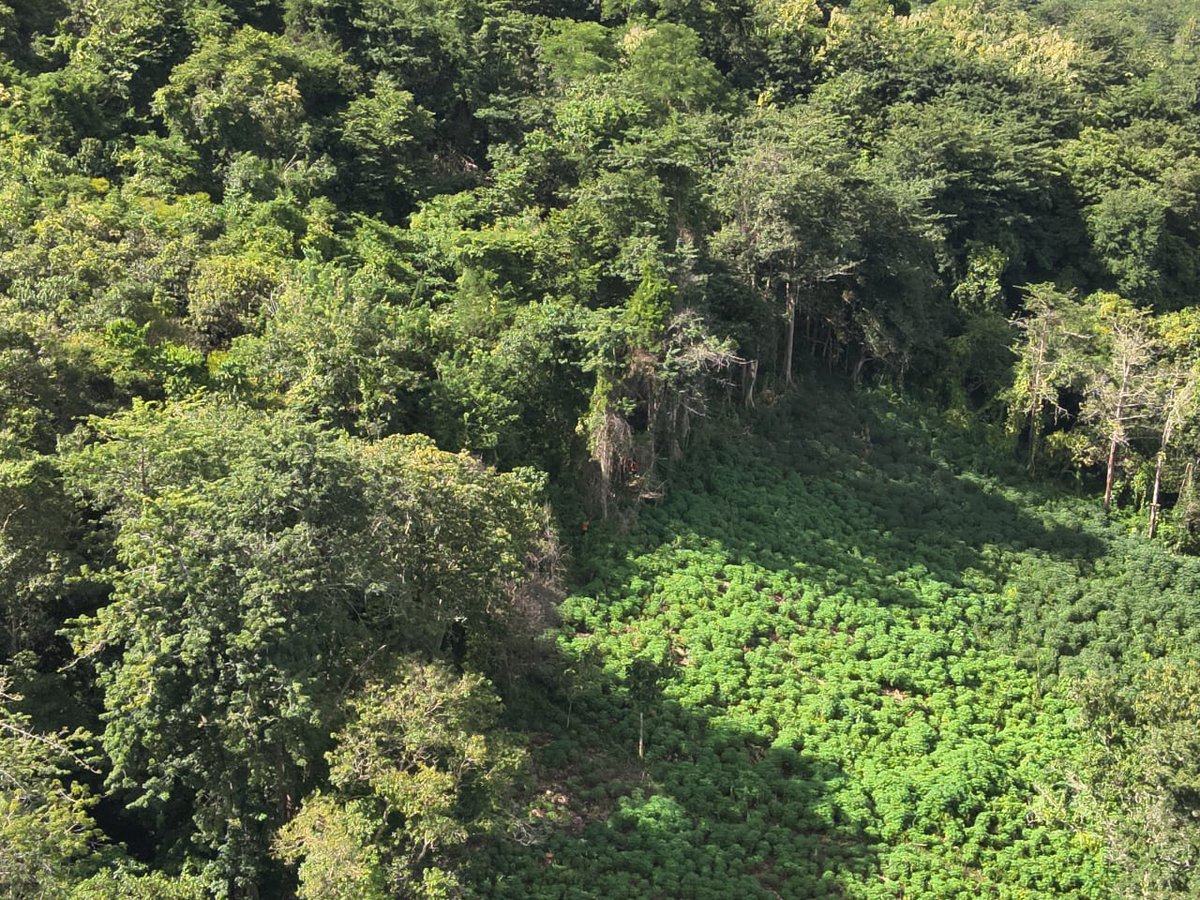 Humas BASARNAS 304 tweet media