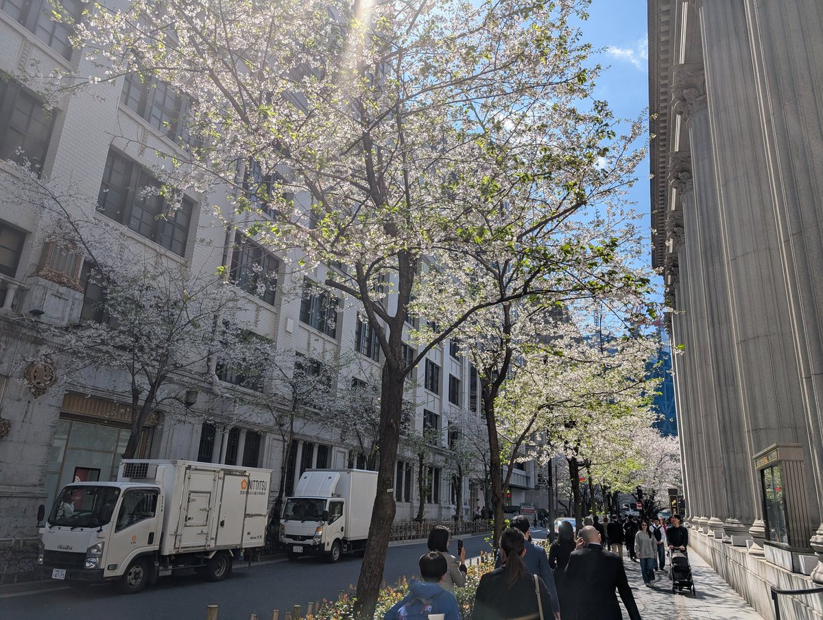 ちゃんかな tweet media