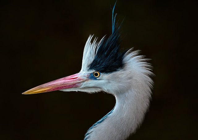 Kelly Smith tweet media