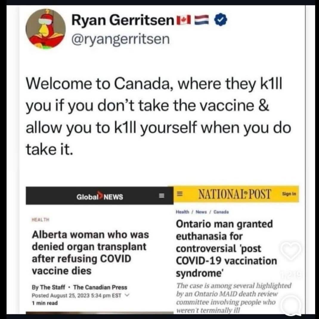 Dr. Lynn Fynn-derella tweet media