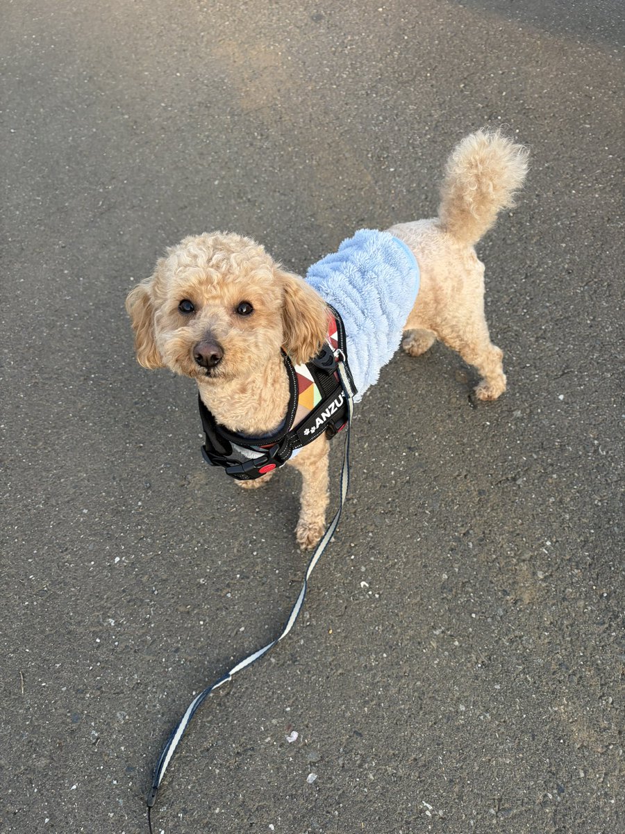 ケンタ tweet media