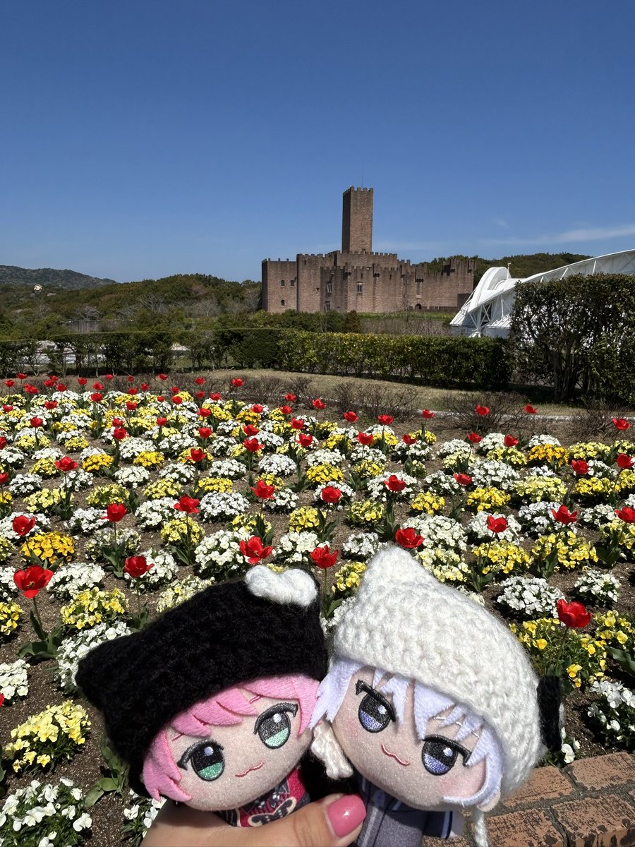 ぴ ら こ 📛 tweet media