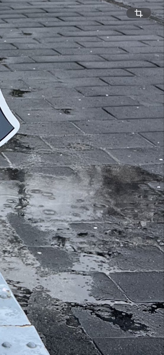 かなえ tweet media