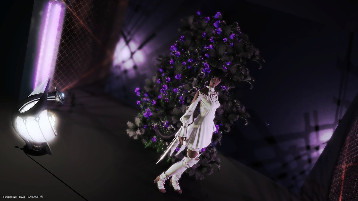 サヤさんぽ tweet media