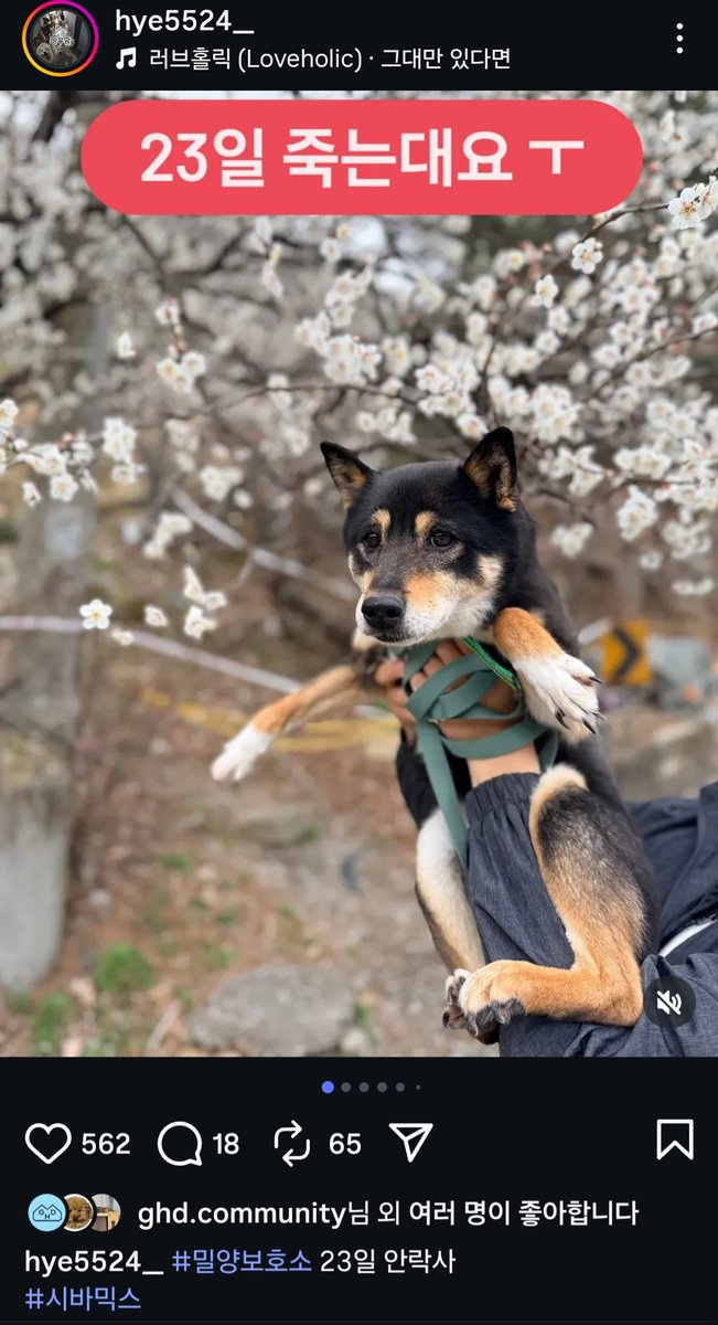 알티전용계정 tweet media