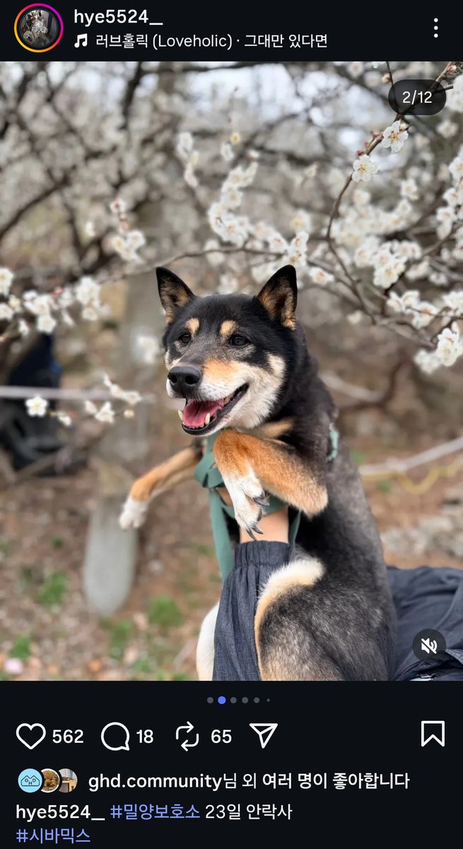 알티전용계정 tweet media