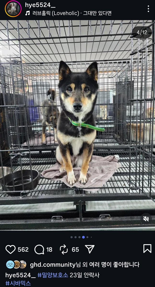 알티전용계정 tweet media