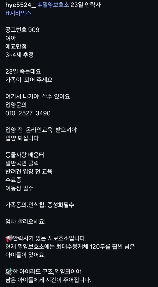 알티전용계정 tweet media