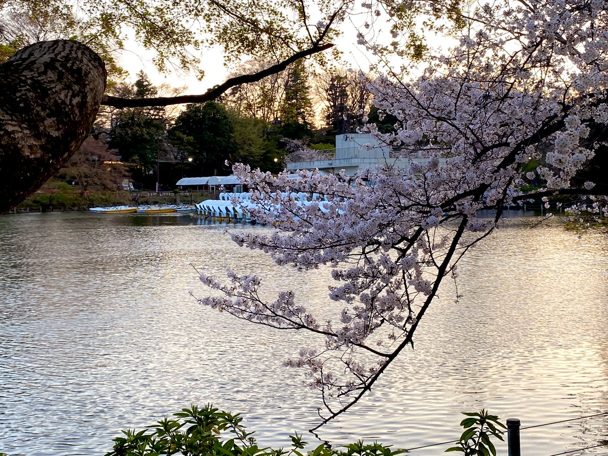 さだやす🚓『サイドキック 吉祥寺警察署生活安全課』⑤巻4/10発売 tweet media