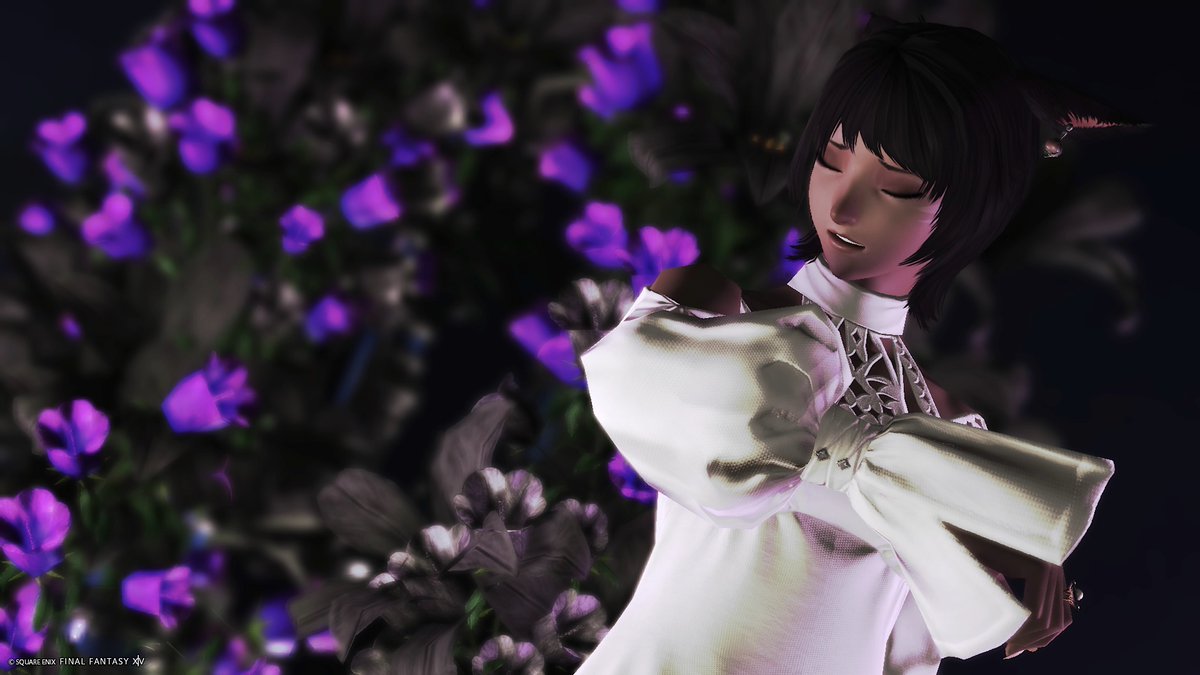 サヤさんぽ tweet media