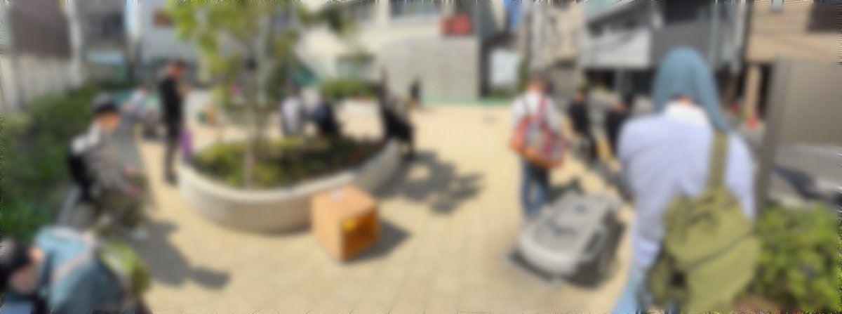 ねこなべ tweet media