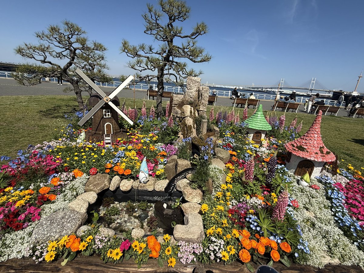 Setsuko🕊 tweet media