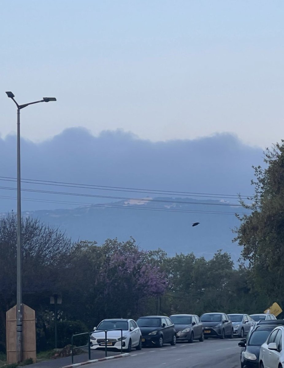 רוני כהן 🙆‍♀️ tweet media