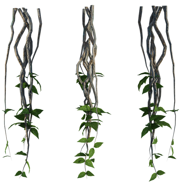 Paola Paulino tweet media