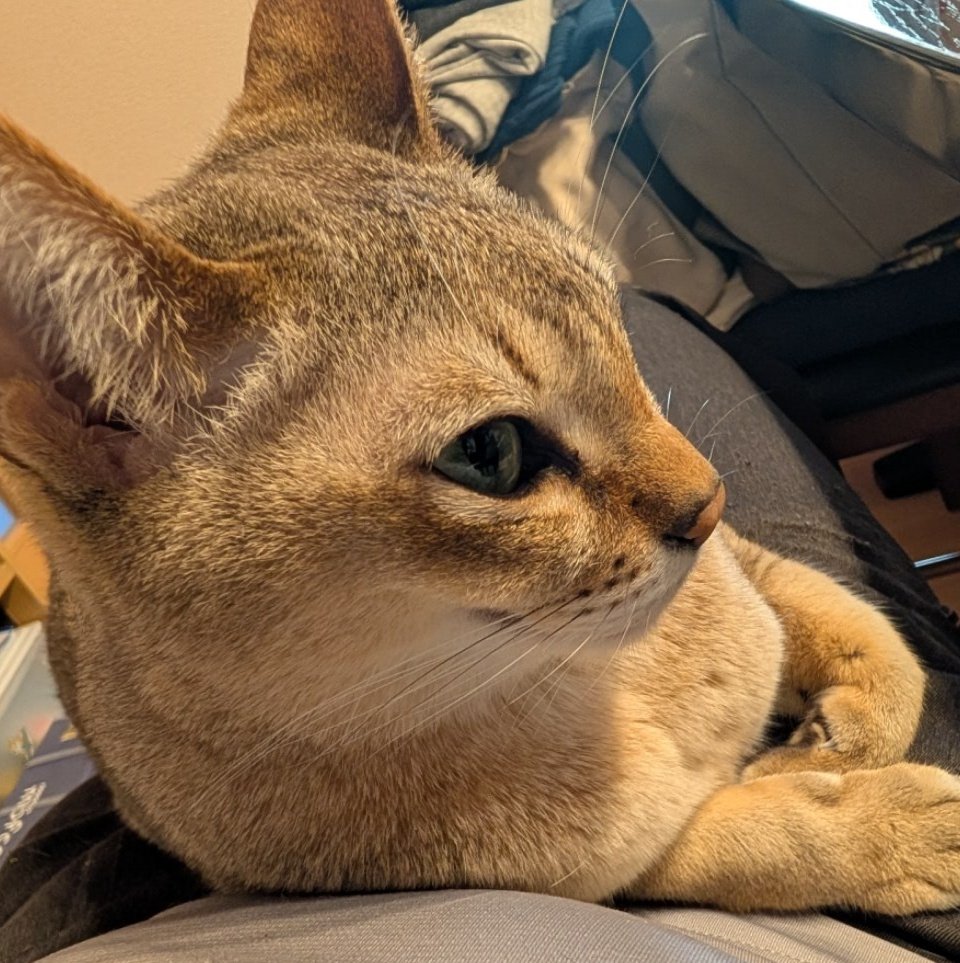 ティージ🎯📷️ tweet media