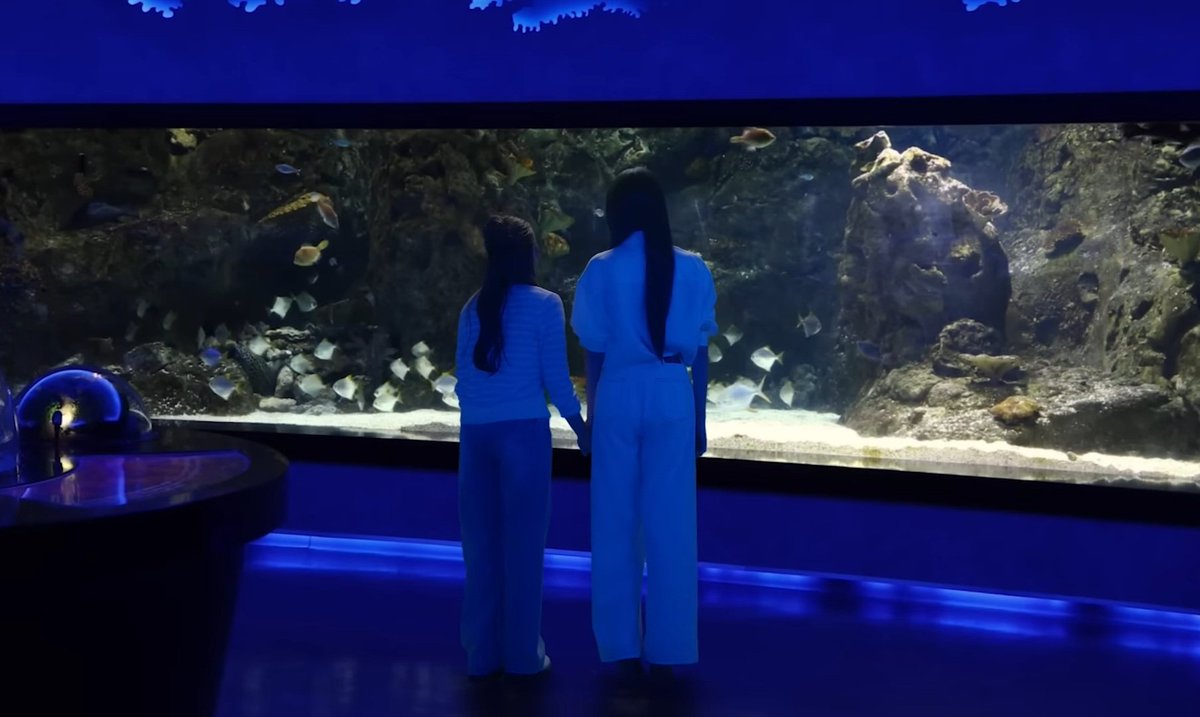 tui 🔭🍞🔮 tweet media