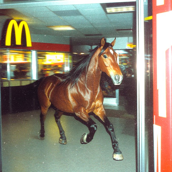 rare.jpg tweet media