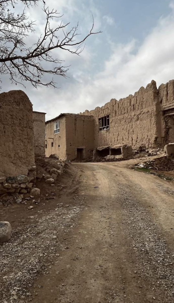 دختر بامیانی✨ tweet media