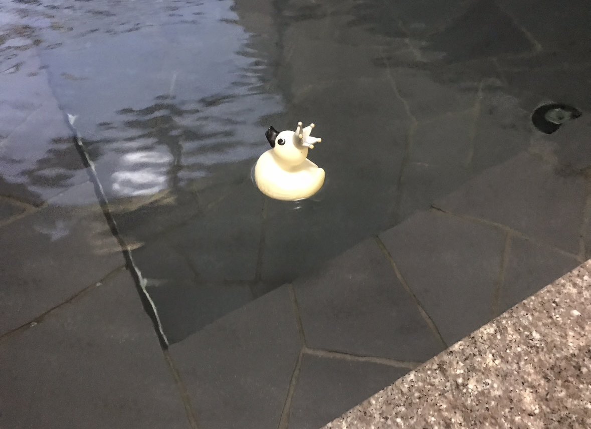 植竹深雪|♨️ おとな「ひとり温泉旅」のススメ㊗️6刷 tweet media