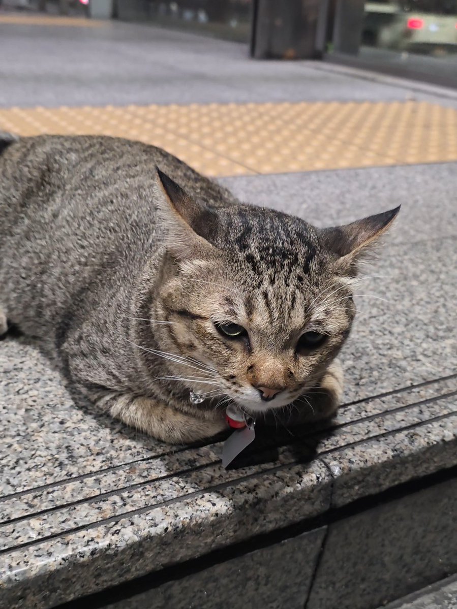 พิน้อนค้าบ NWY tweet media