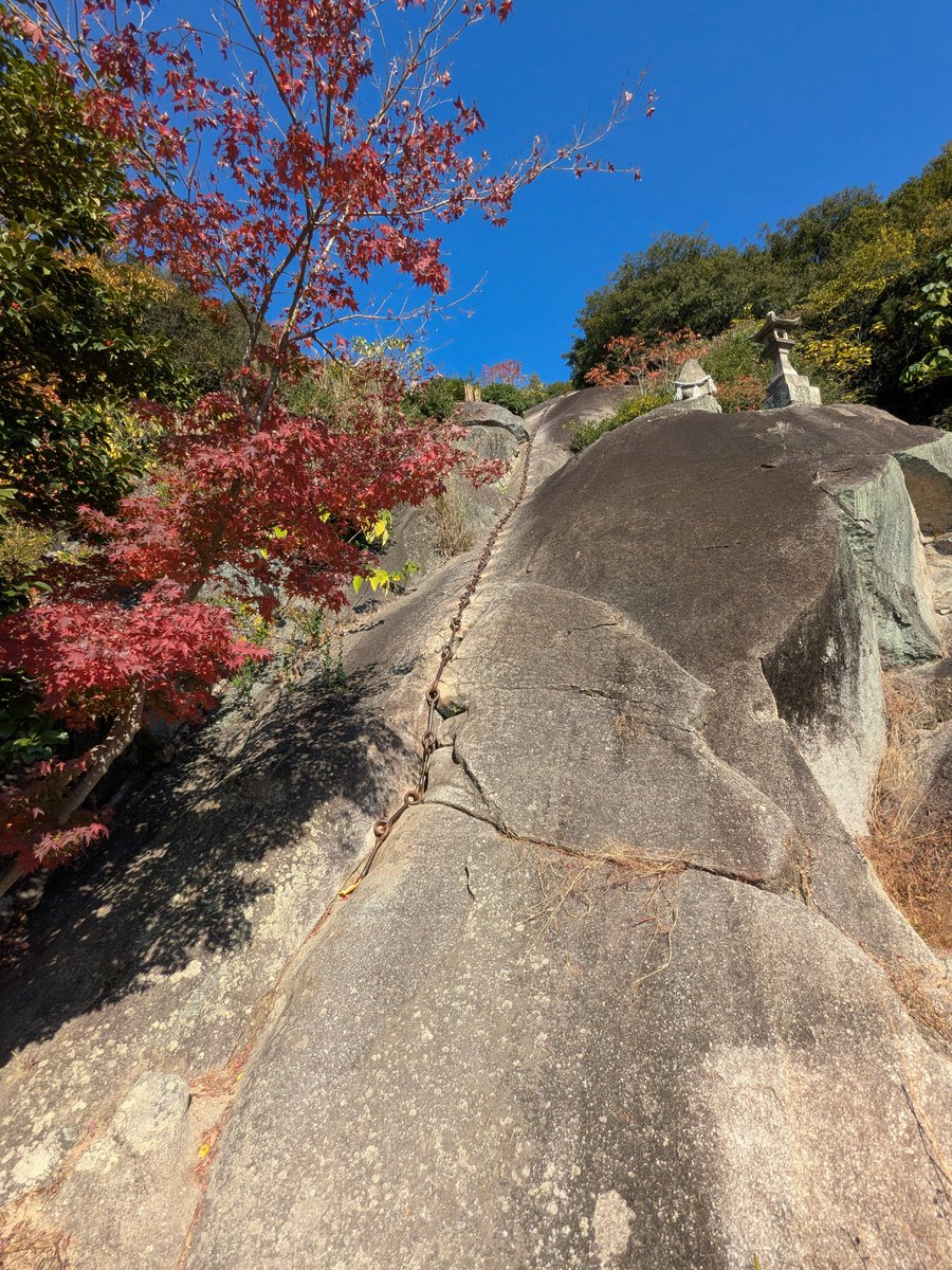 砂クリ tweet media