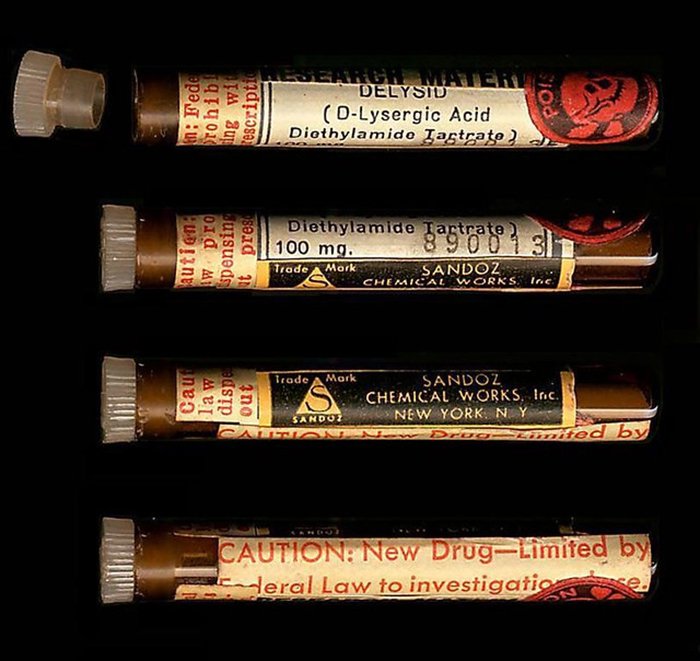 Taylor Sterling tweet media