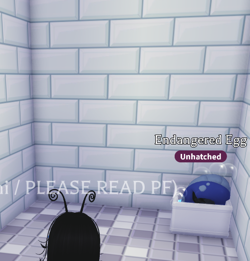 umi 〰️ tweet media