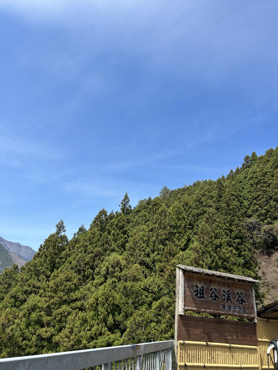 臣_ゼロ@ぐら☆ESTP-A tweet media